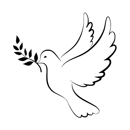 Monsieur Alain VIDAL